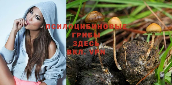 Альфа ПВП Алексин