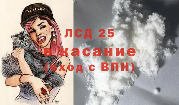 ПСИЛОЦИБИНОВЫЕ ГРИБЫ Алексеевка